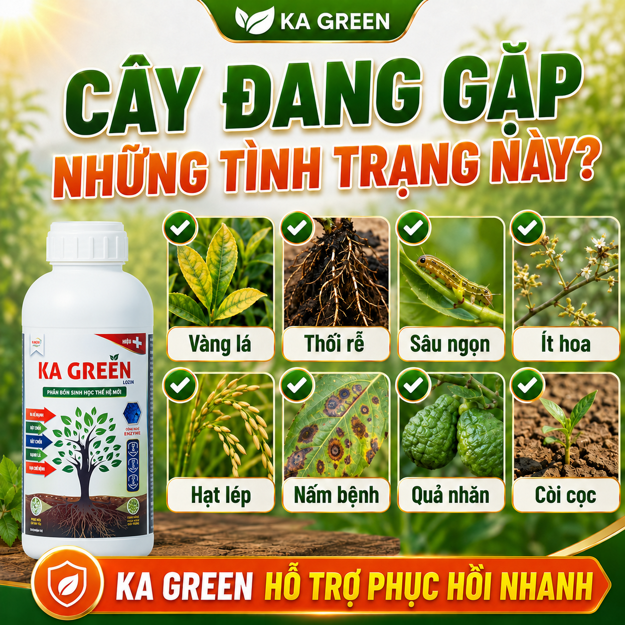 KA GREEN Nuôi Trái Lớn Nhanh – Cơm Vàng Hạt Lép Ngọt Nước 1000ml