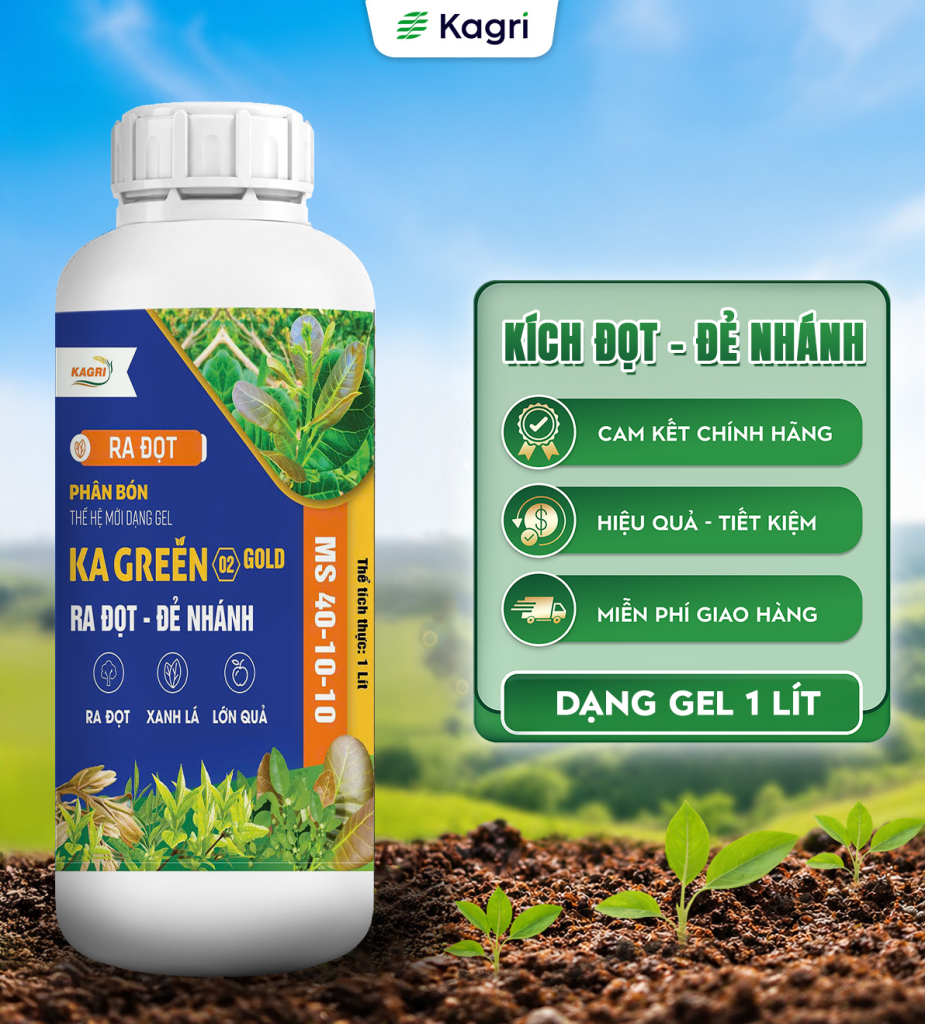 Kagreen 02