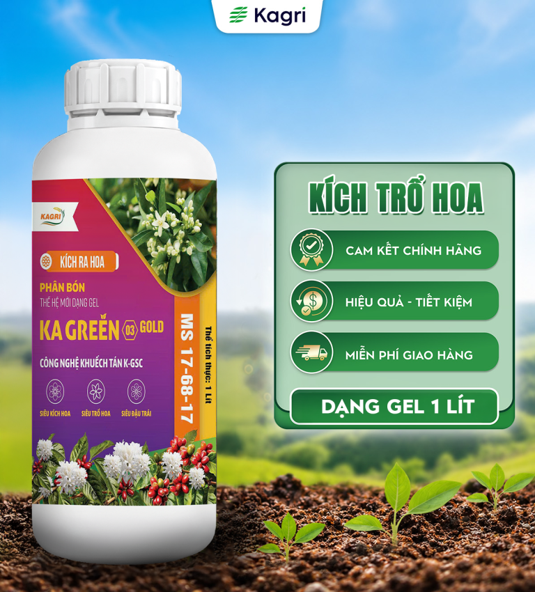 Kagreen 03