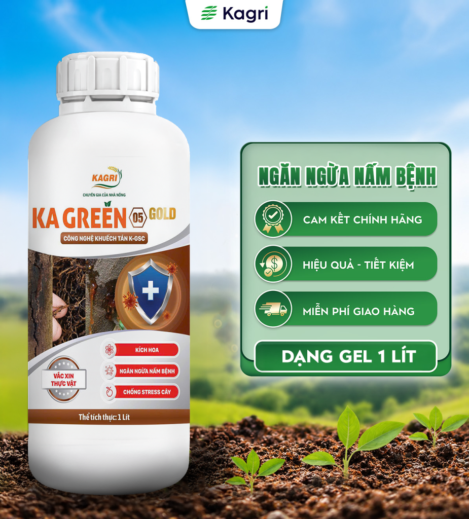 Kagreen 05