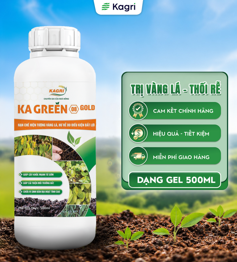 Kagreen 08