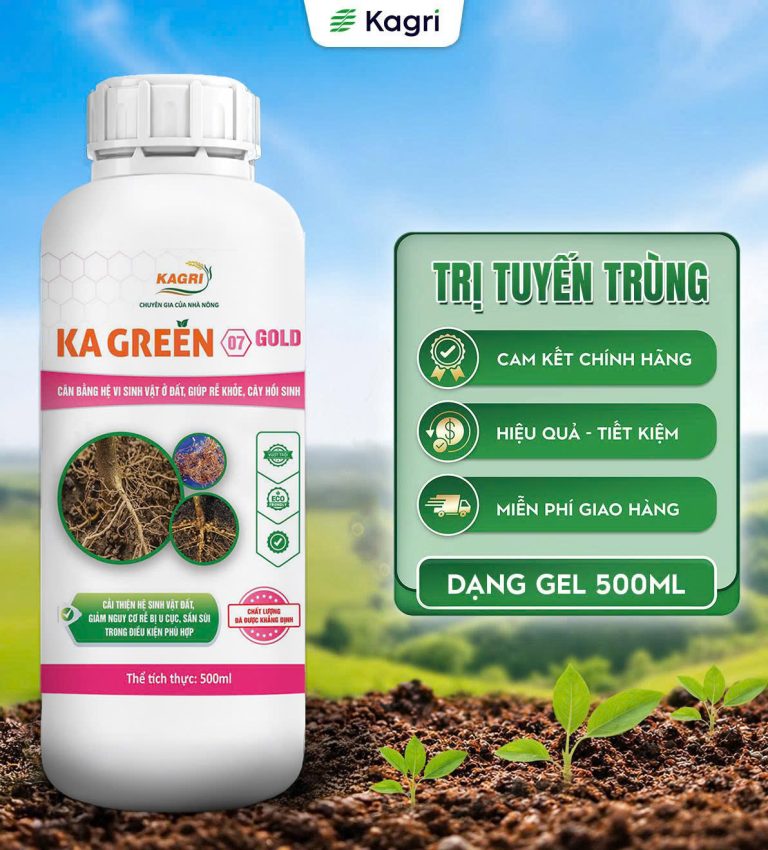 KA GREEN ĐỒNG