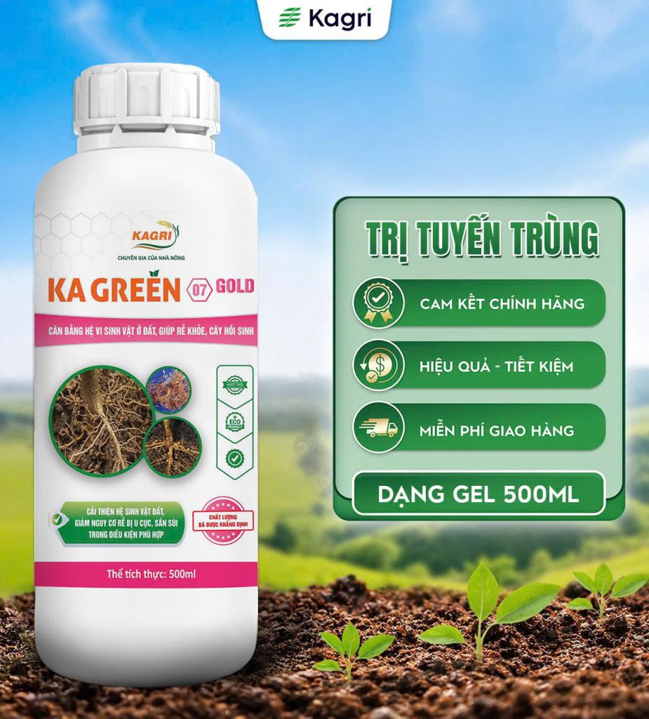 Kagreen 07