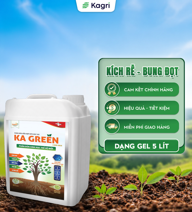 KA GREEN COMBI 5 LÍT
