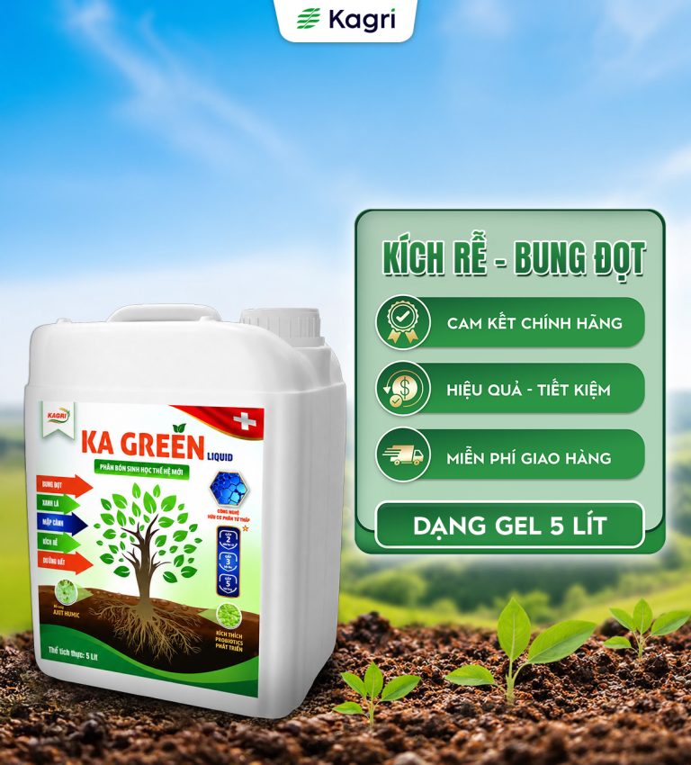 KA GREEN LIQUID 5 LÍT