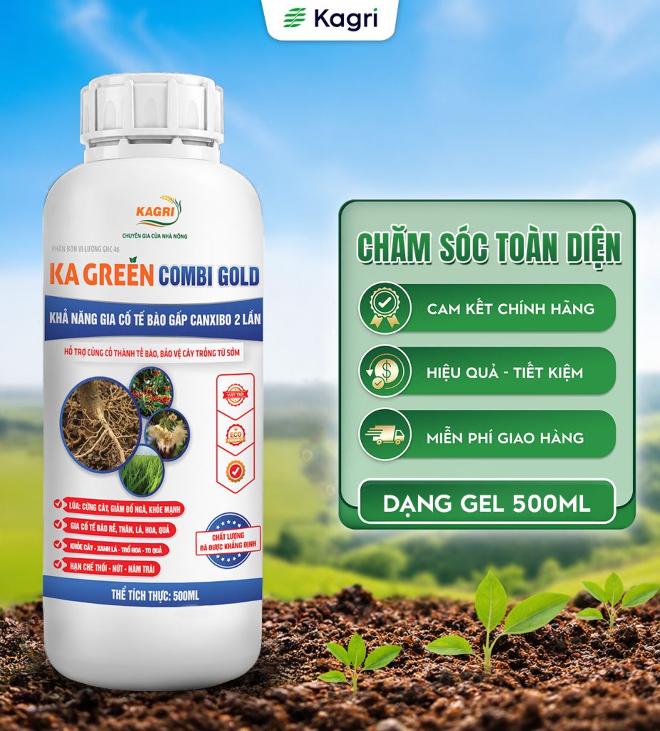 KA GREEN COMBI GOLD 500ML