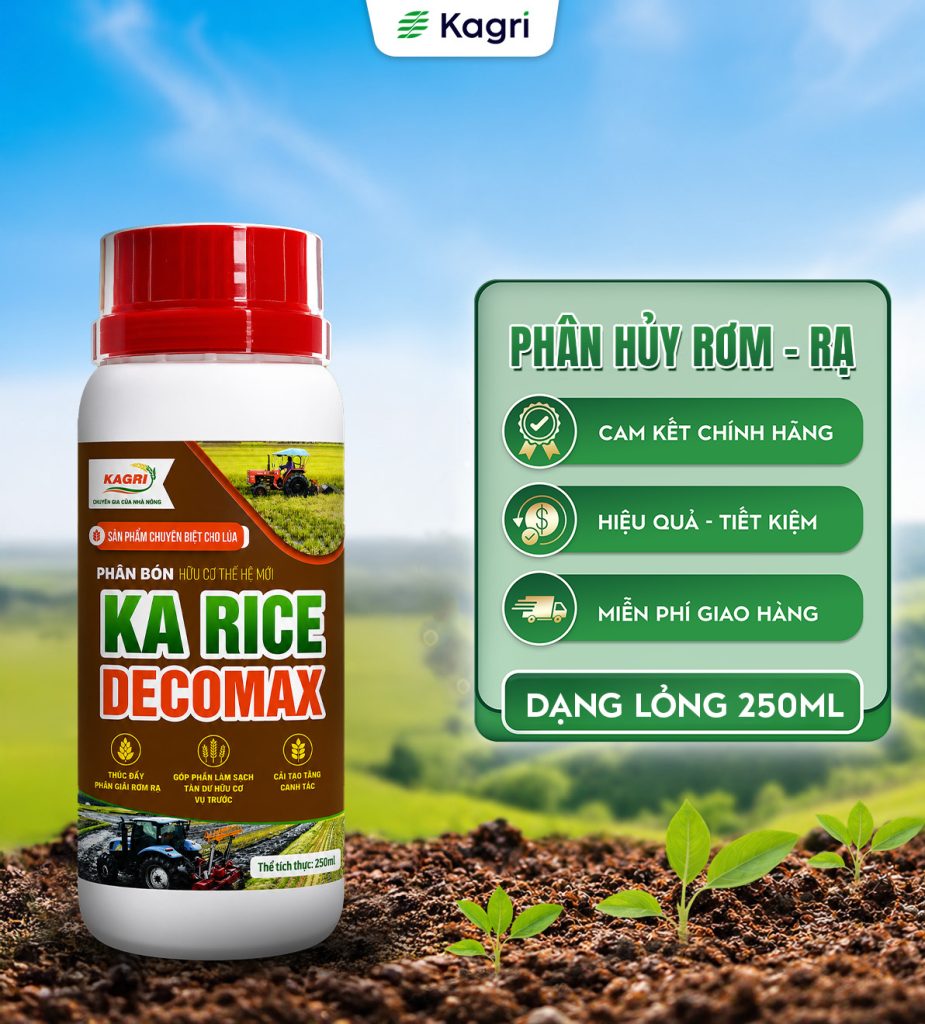 KA RICE DECOMAX – PHÂN HUỶ RƠM RẠ 250ML