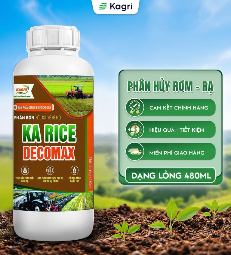 KA RICE DECOMAX 480ML