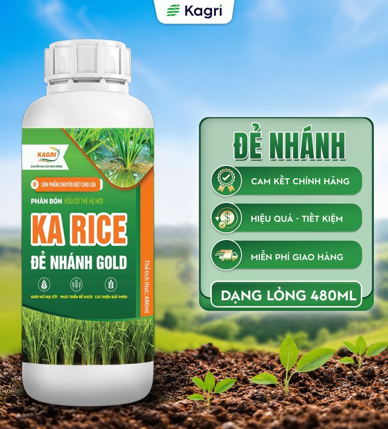 KA RICE ĐẺ NHÁNH 480ML
