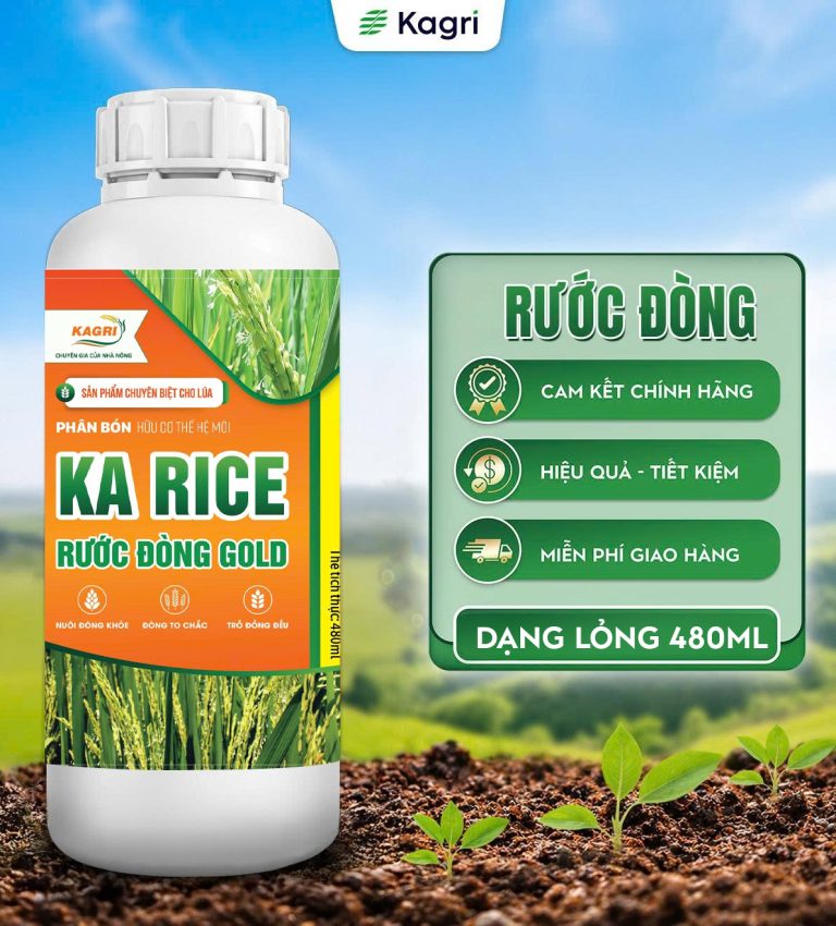 KA RICE RƯỚC ĐÒNG 650G
