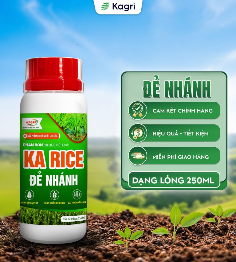 KA RICE ĐẺ NHÁNH 250ML