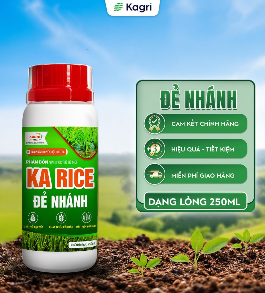 KA RICE ĐẺ NHÁNH 250ML