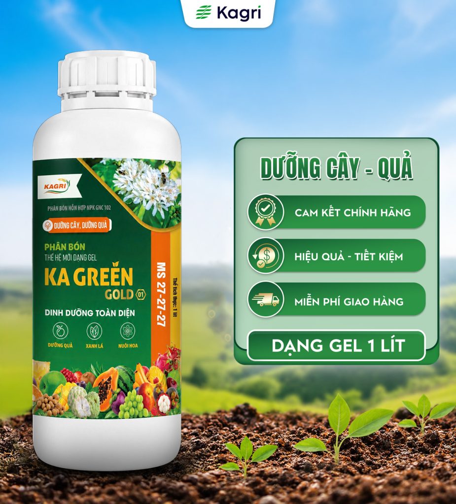 KA GREEN 01 GOLD 1 LÍT