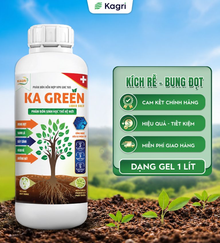 KA GREEN LIQUID GOLD 1 LÍT