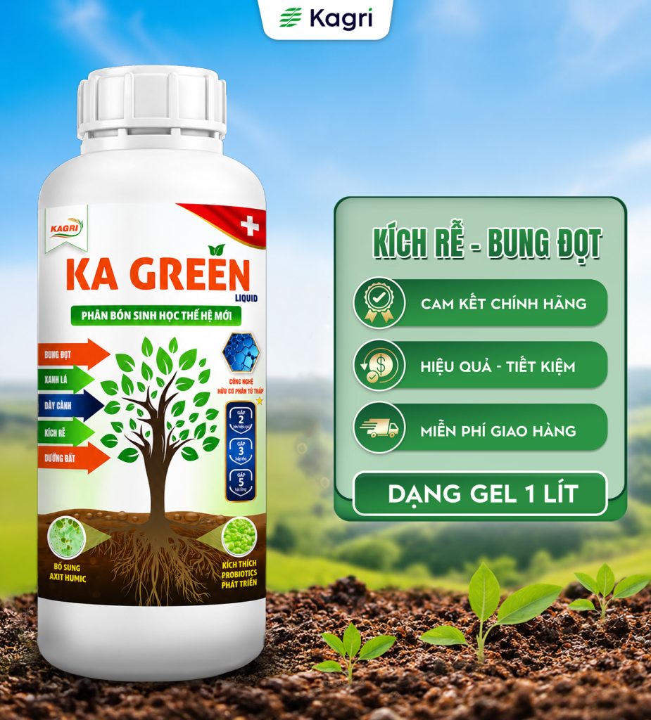 KA GREEN LIQUID 1 Lít