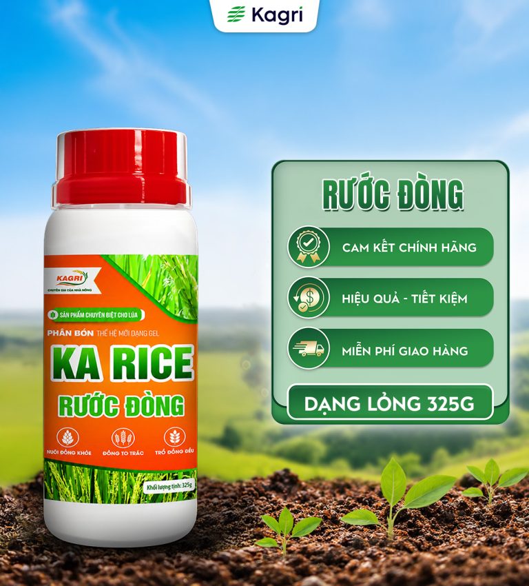 KA RICE RƯỚC ĐÒNG 325G