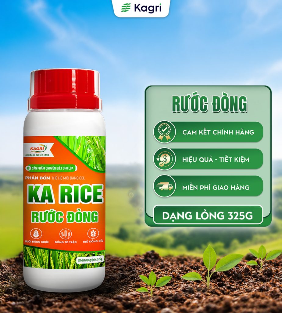 KA RICE RƯỚC ĐÒNG 325G