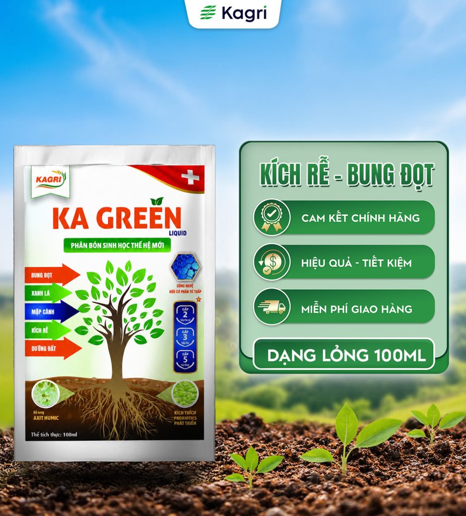 KA GREEN LIQUID 100ML