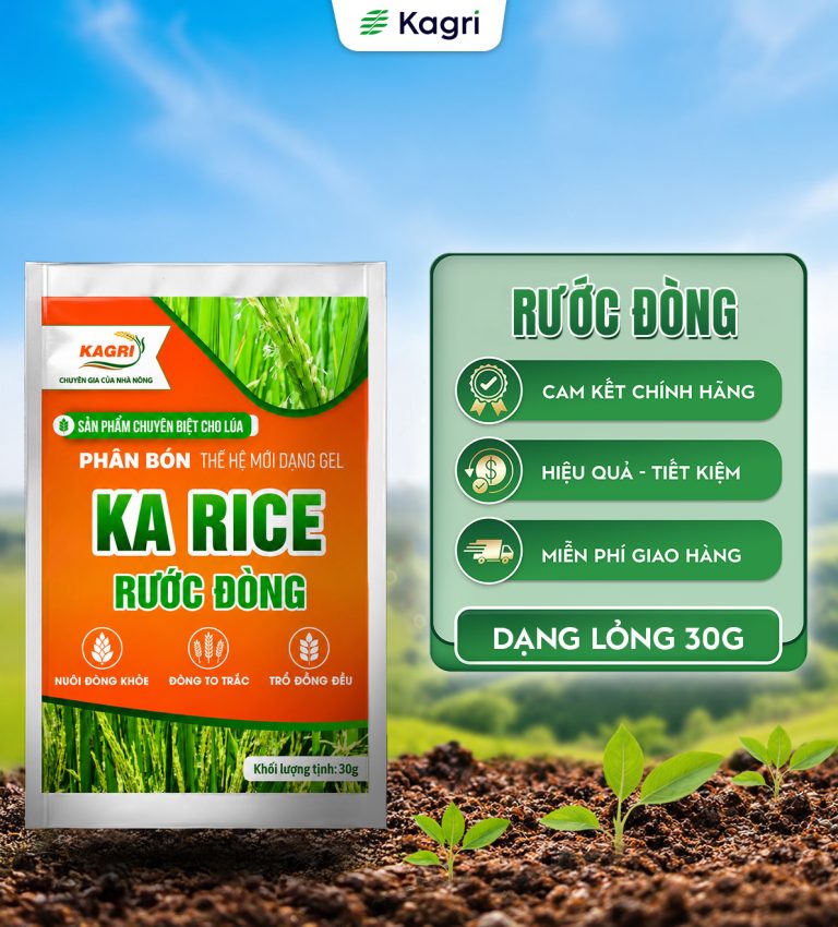KA RICE RƯỚC ĐÒNG GÓI 30G