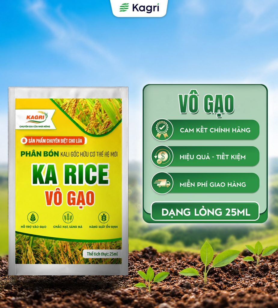 KA RICE VÔ GẠO GÓI 25ML