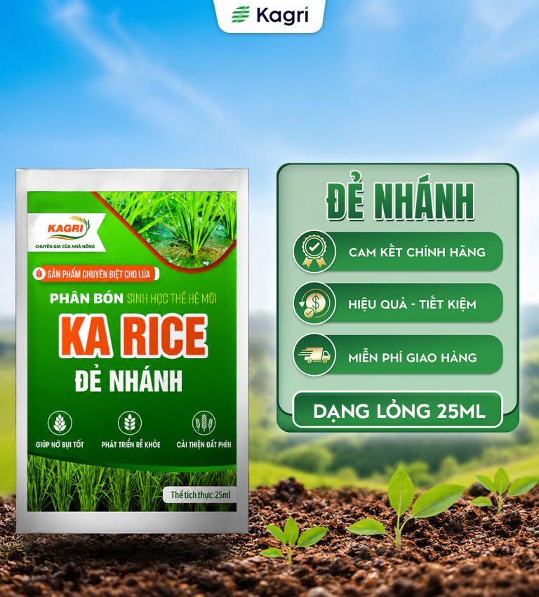 KA RICE ĐẺ NHÁNH GÓI 25ML