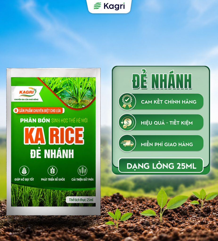 KA RICE ĐẺ NHÁNH GÓI 25ML