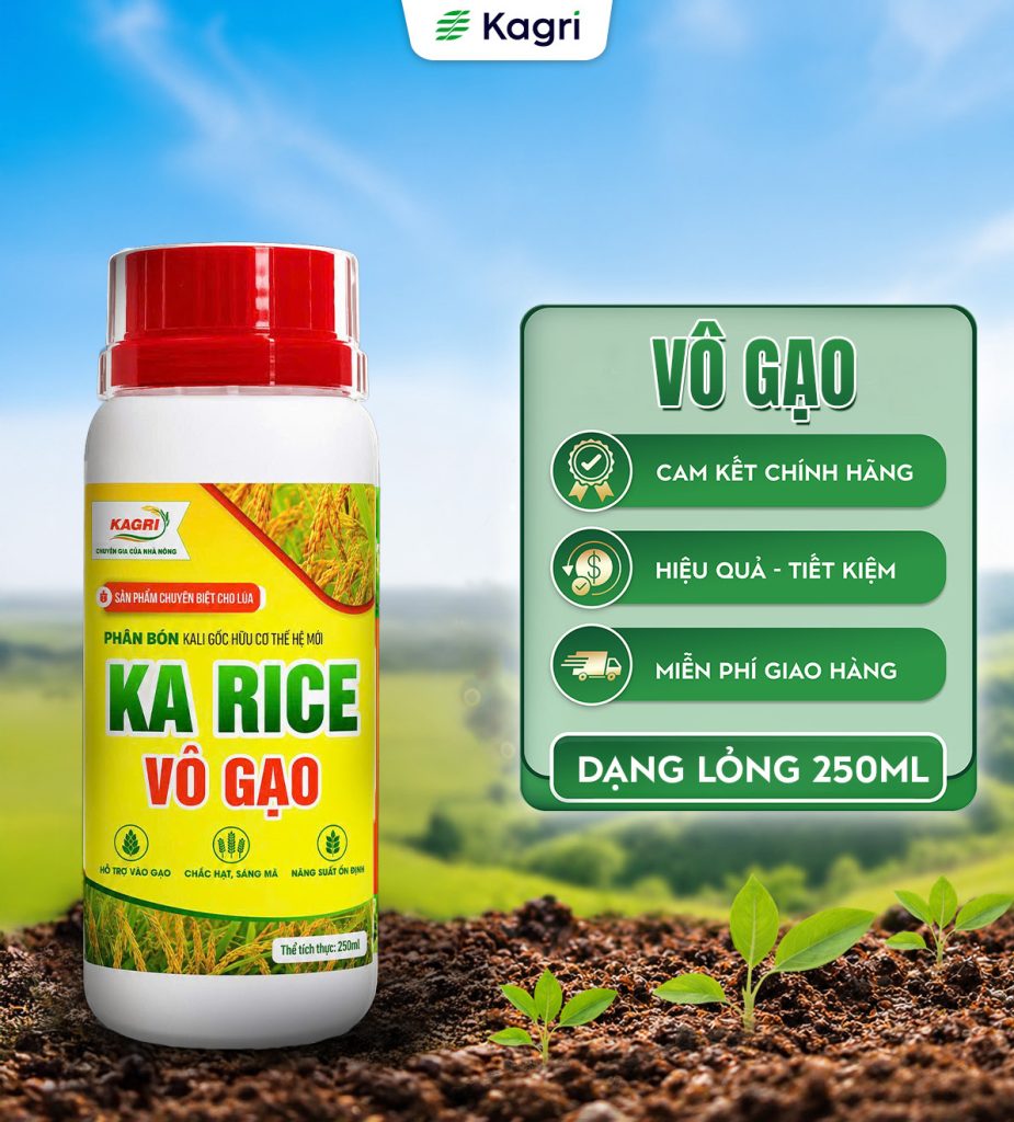 KA RICE VÔ GẠO 250ML