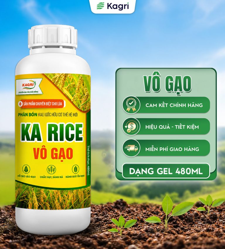KA RICE VÔ GẠO 480ML