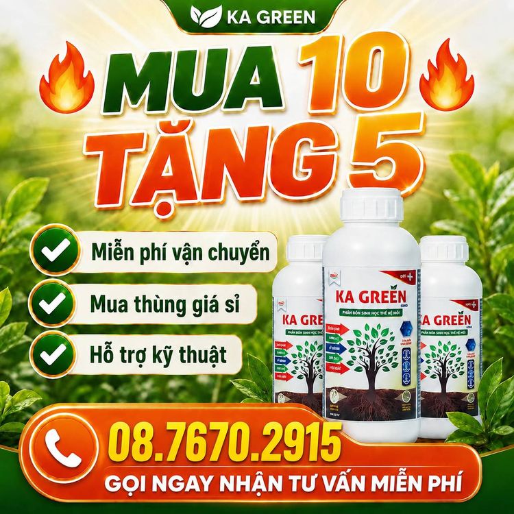 Giải Pháp Diệt Cỏ Sinh Học Không Độc Đất Và Phòng Trừ Rầy Rệp Bằng Dòng Sản Phẩm KA POWER